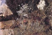 John William Waterhouse The Enchanted Garden oil painting